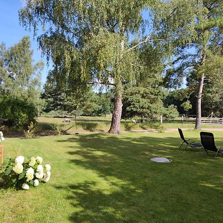 Forsthaus Zartwitzer Huette Leilighet Rechlin Eksteriør bilde
