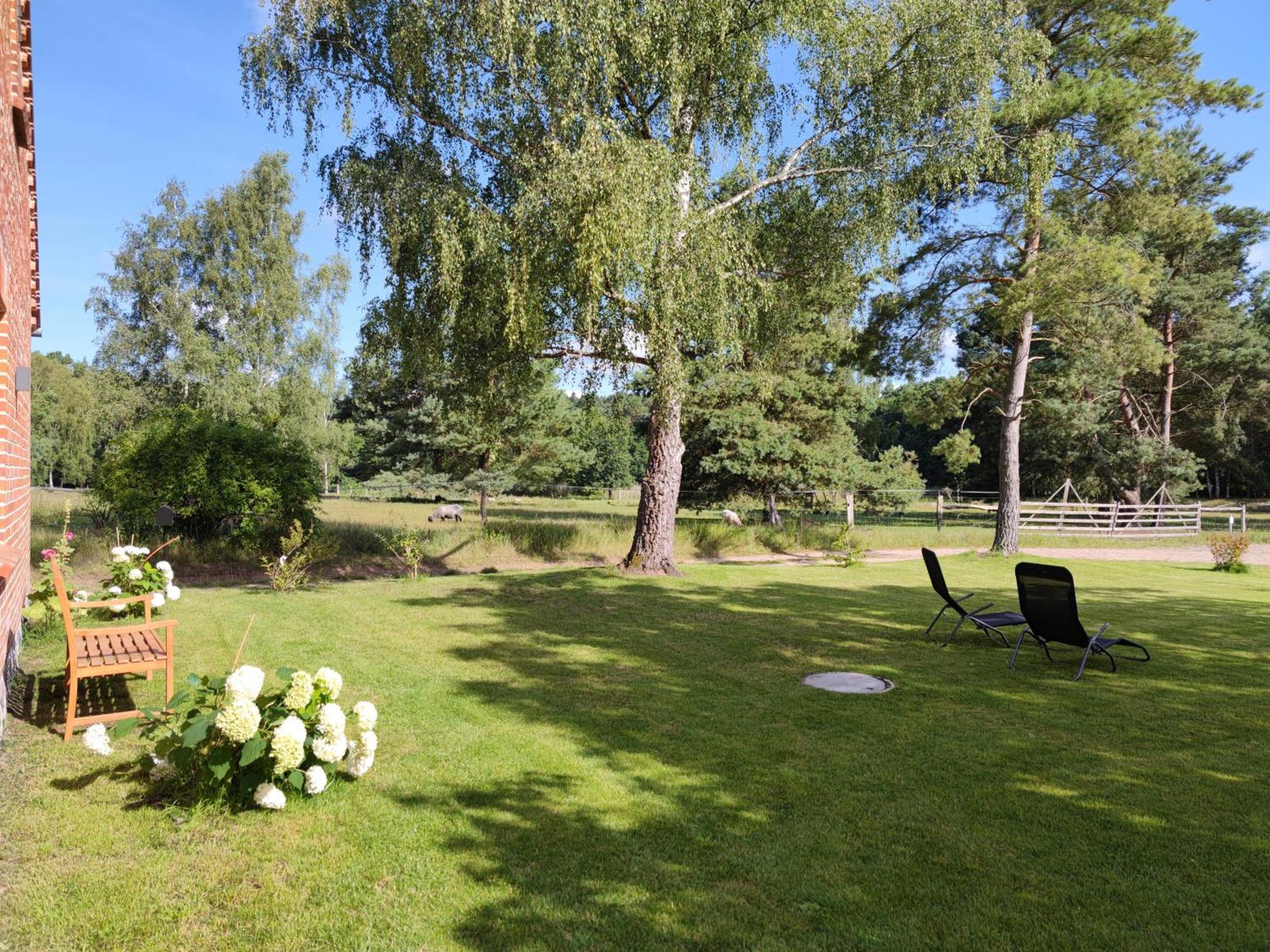 Forsthaus Zartwitzer Huette Leilighet Rechlin Eksteriør bilde